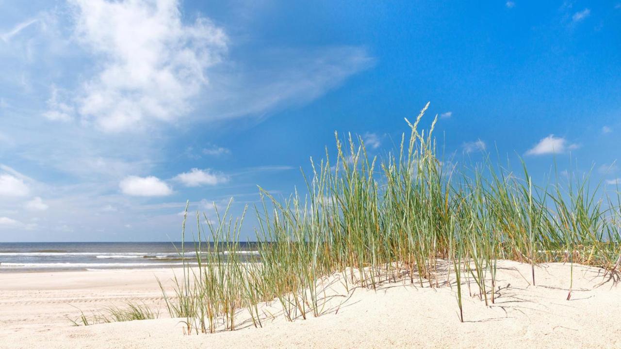 Direct Oceanfront Private Villa Overlooking Pool/Beach - South Forest Beach - Right Next To Coligny Plaza Хилтон-Хед-Айленд Экстерьер фото